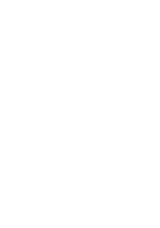 DirectPoint logo